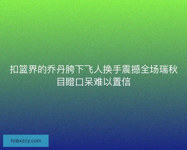扣篮界的乔丹胯下飞人换手震撼全场瑞秋目瞪口呆难以置信